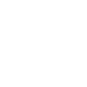 icon-fire
