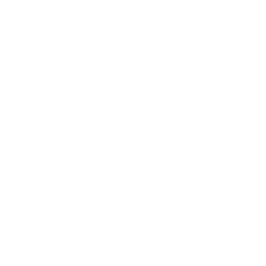 icon-scaffolding